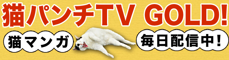 猫パンチTV GOLD!